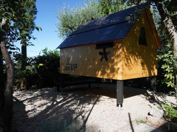 Wooden hut on stilts in a sunny garden.